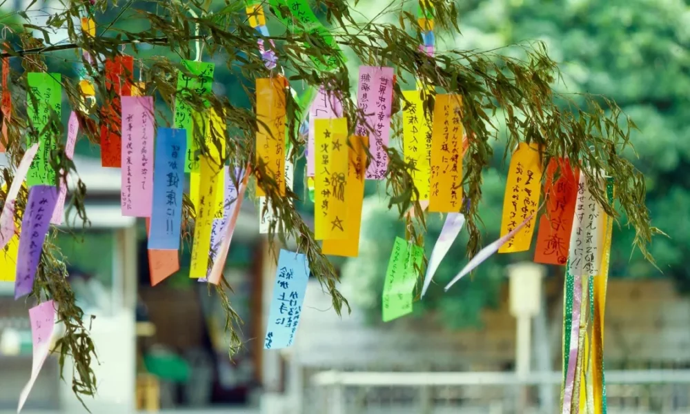 Tanabata, The star festival